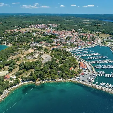 Casa Oliva In *